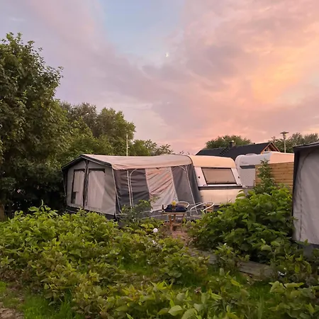 Przyczepa Kempingowa Eddie Campsite *